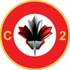 c2india logo